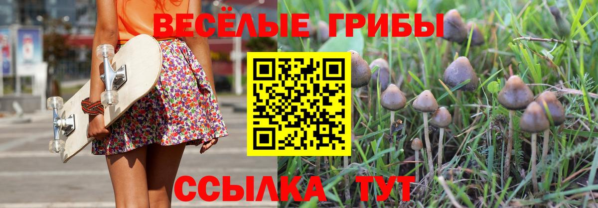 Псилоцибиновые грибы Cubensis  Вход с VPN  Астрахань  Псилоцибиновые грибы мухоморы 